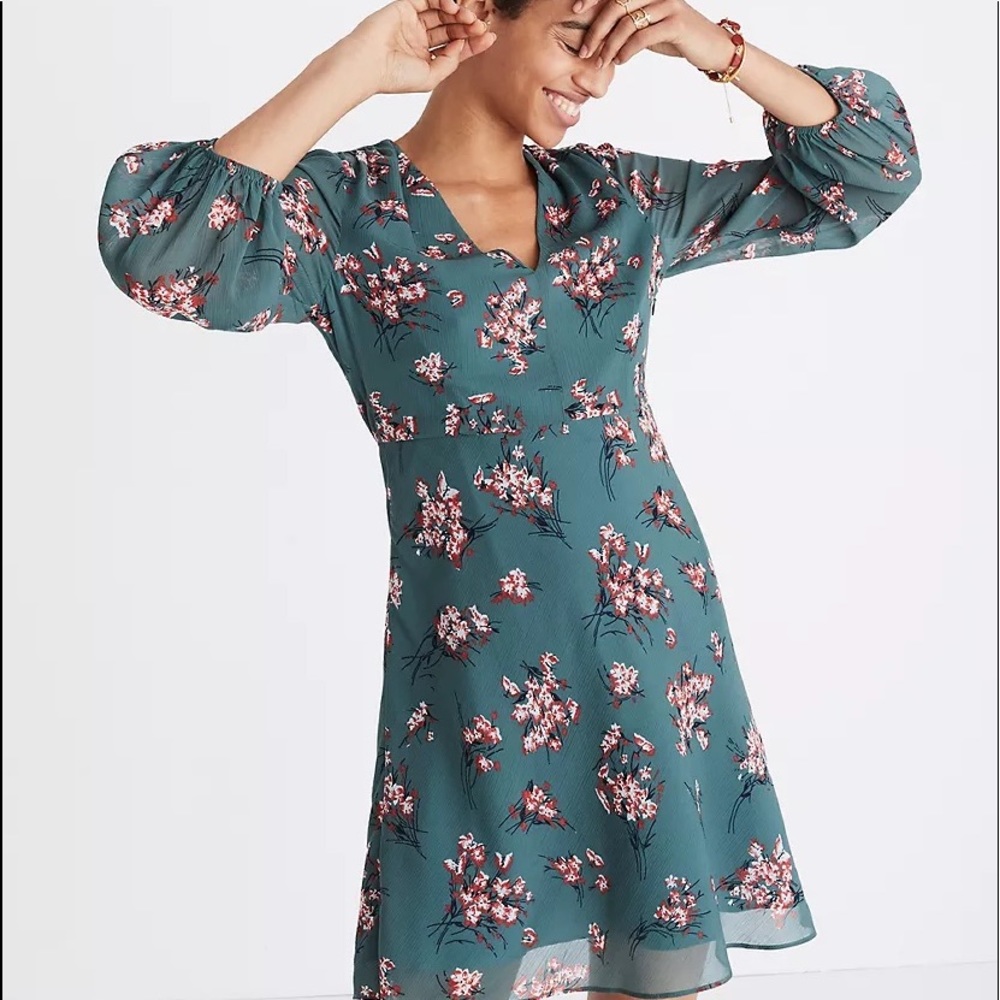 Madewell Marguerite Dress in Butterfly Garden